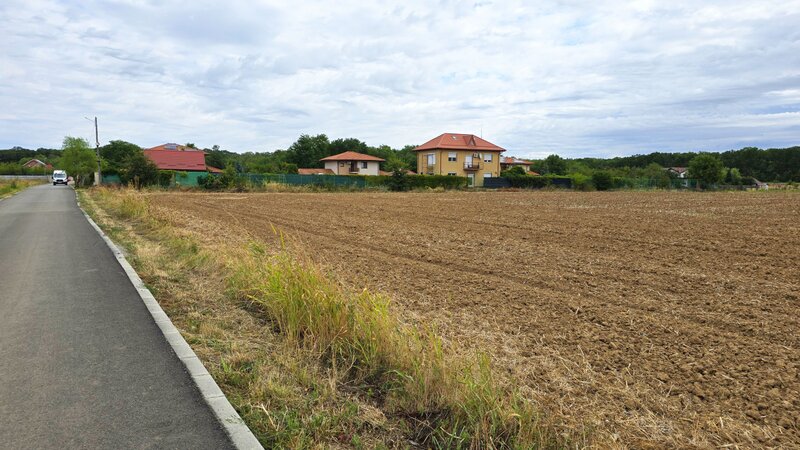 Ciofliceni The Forest Collection -LOT 500mp- Strada asfaltata Padurea Snagov